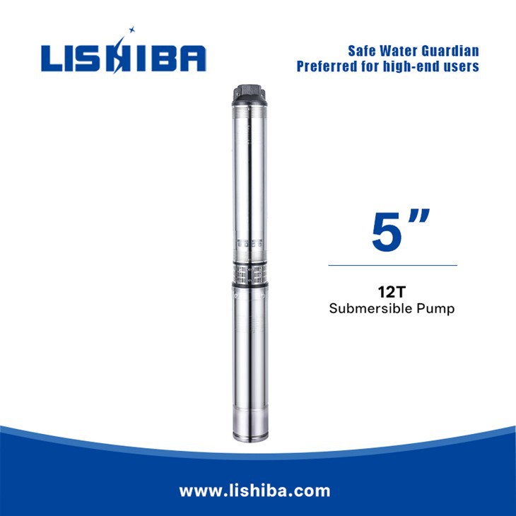 300 ft Deep Well Pump