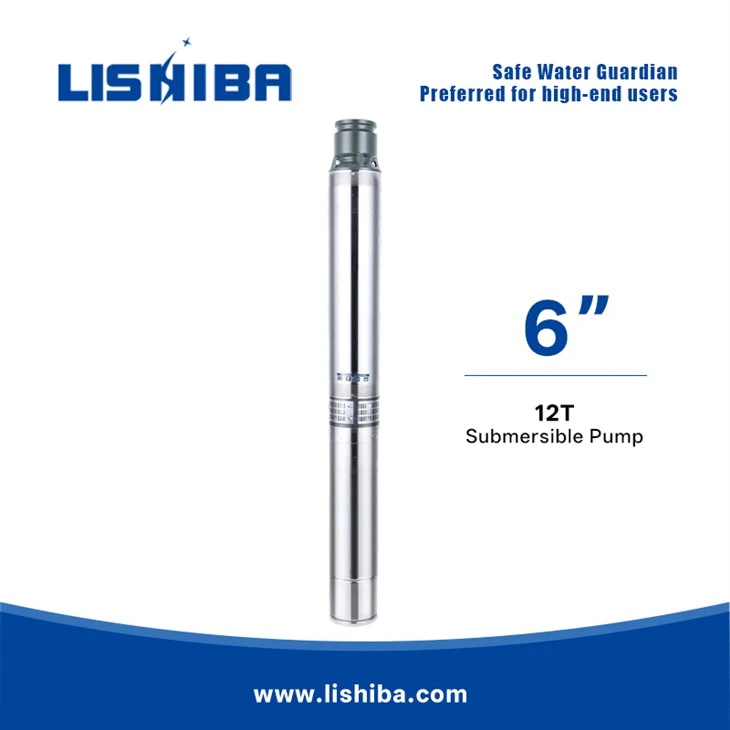 Lishiba Pumps - Premium 6SJ Series Högpresterande pump|Multi-Scenario Application|Branschledande försäljning